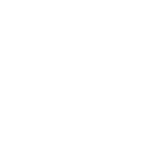 request-lumenjets